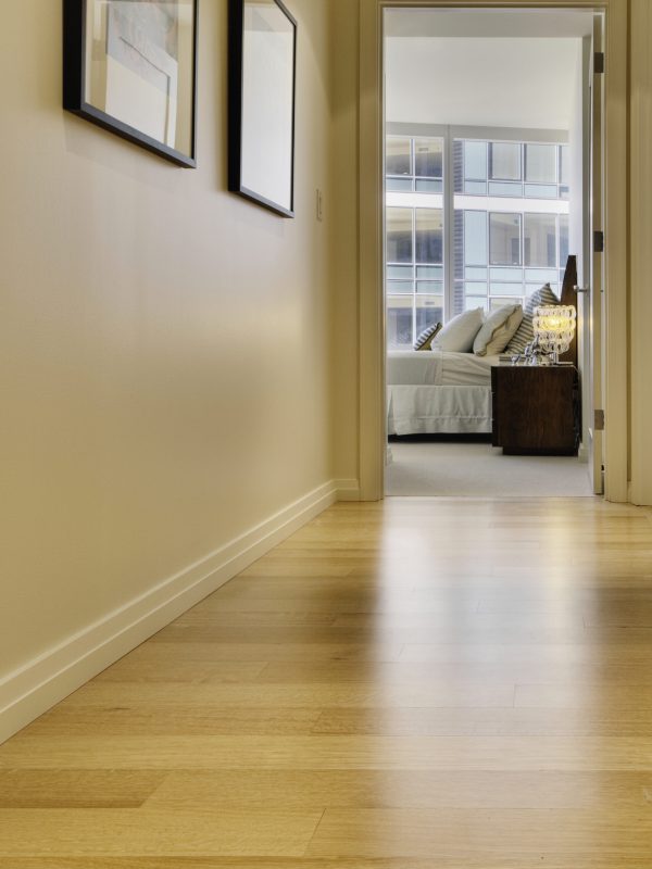 Corridor leading to bedroom in luxury highrise apartment